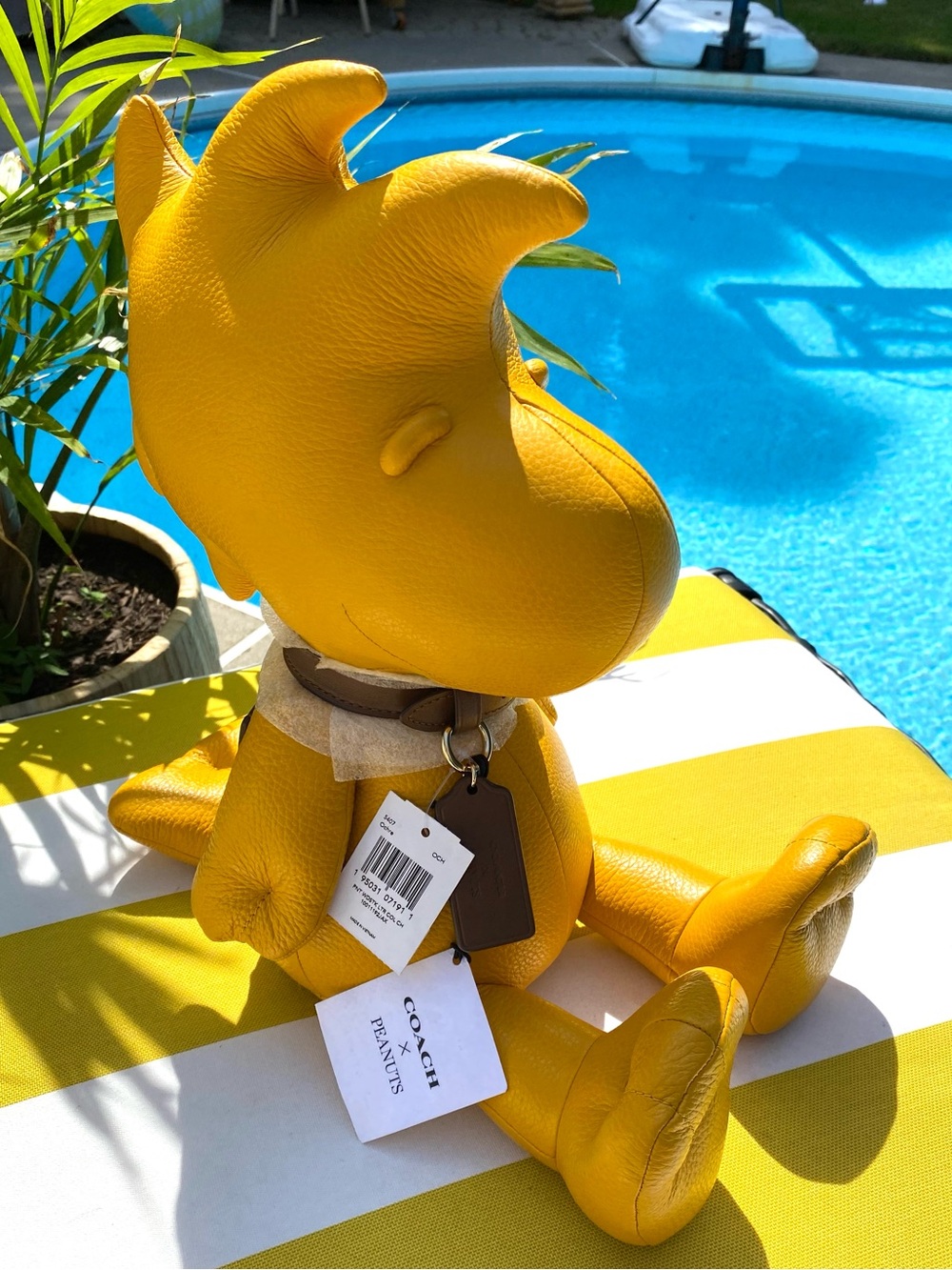 Coach Yellow Peanuts Woodstock Luxury Limited Edition Collectible Leather NWT 🐥
